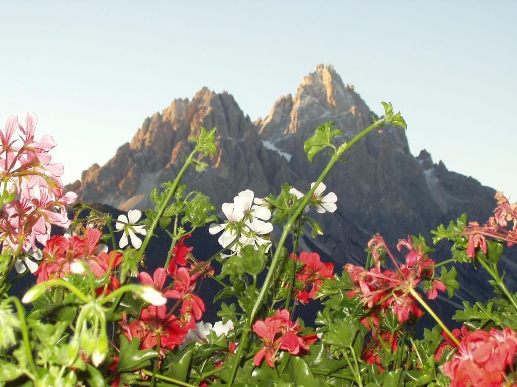 Galler Am Berg San Candido Phòng bức ảnh